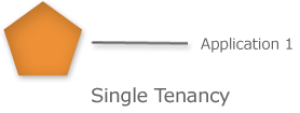 Single Tenant Application